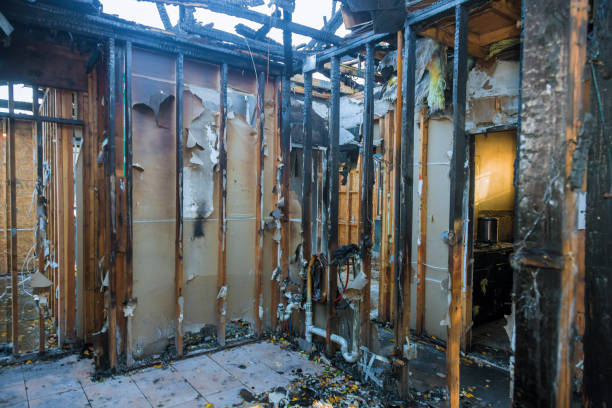 Professional Fire Damage Removal technician working in Annandale, NJ