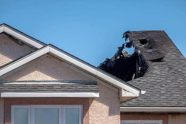 Top rated local Fire Damage Removal specialists in Annandale, NJ